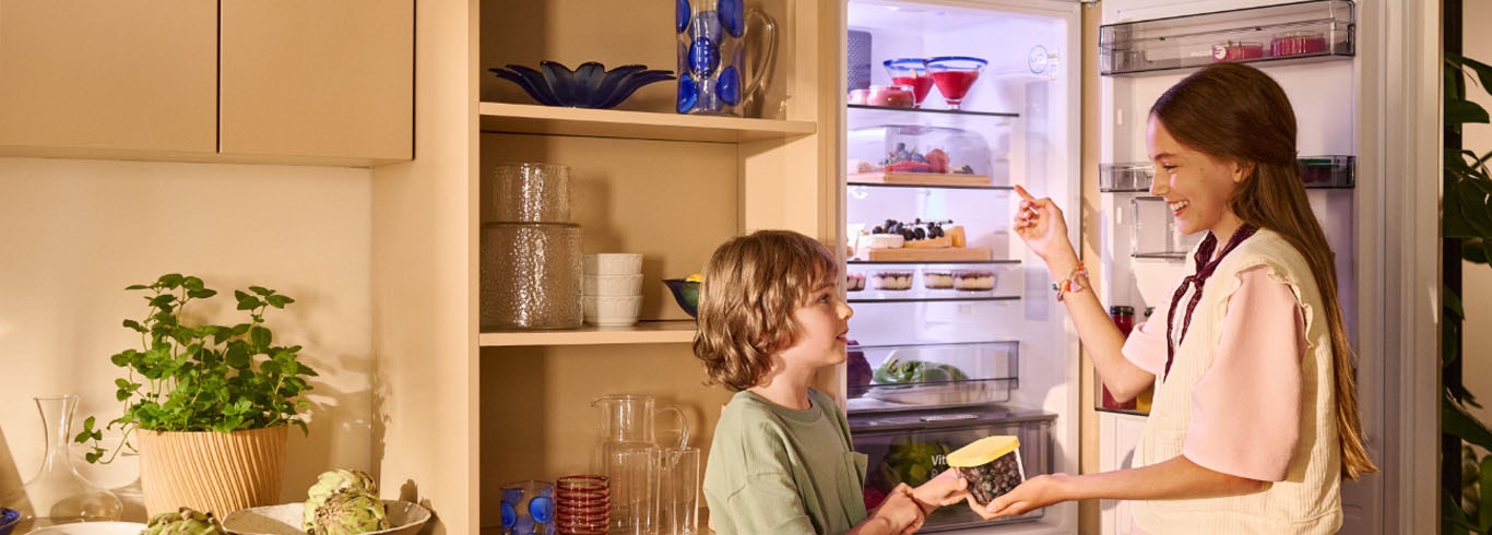 Vestavné chladničky